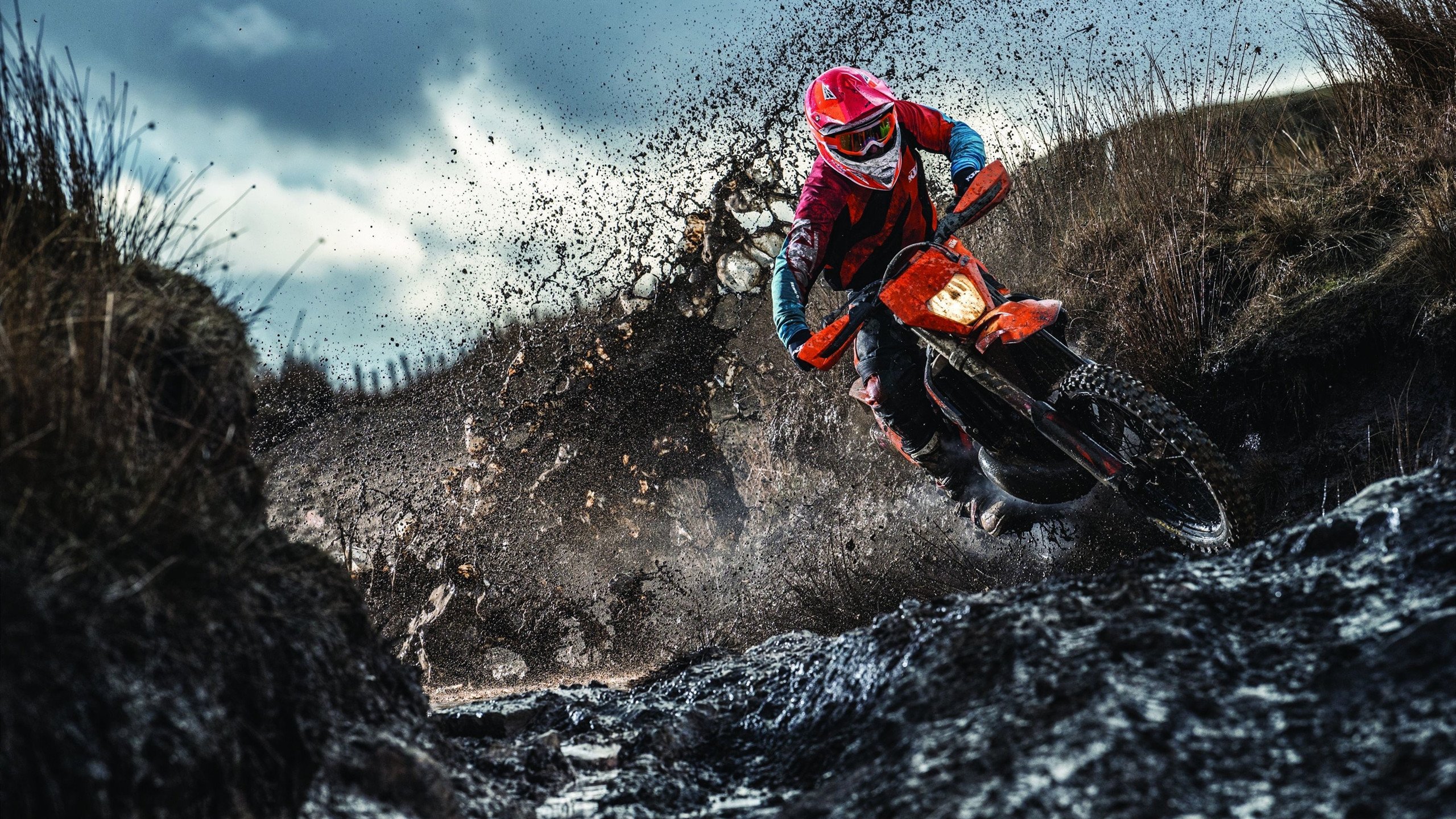 德国马术协会举办马术运动员国际交流活动,促进文化互鉴。,德国马术选手